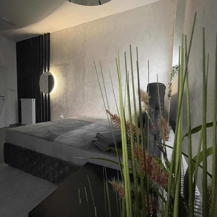 Tepic Garni Hotel Temerin 외부 사진